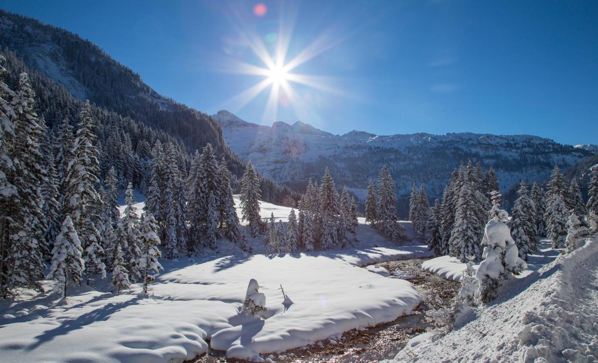 Alpin Life Resort Luerzerhof Унтертауэрн Экстерьер фото